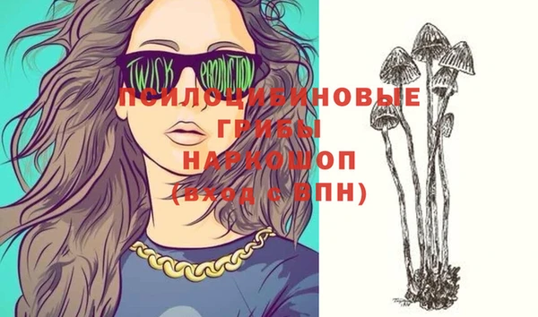 Альфа ПВП Протвино