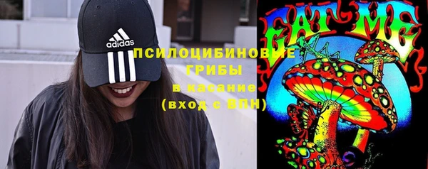 Альфа ПВП Протвино