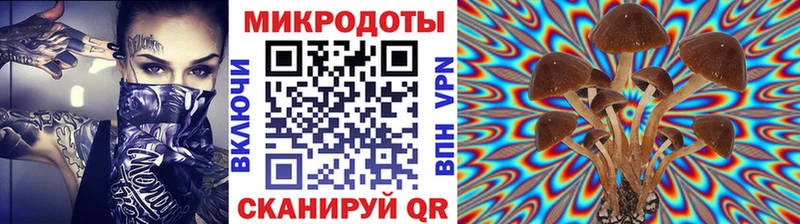 Купить  Димитровград  Галлюциногенные грибы мицелий 